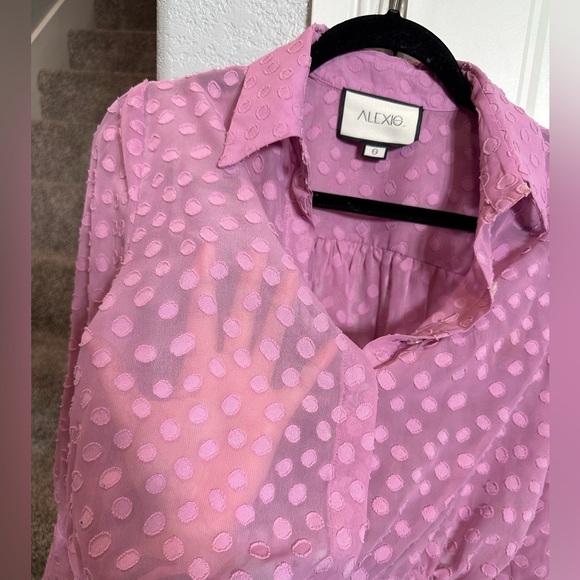 Alexis Kaja Cropped Blouse Top PINK sheer - Picture 11 of 12